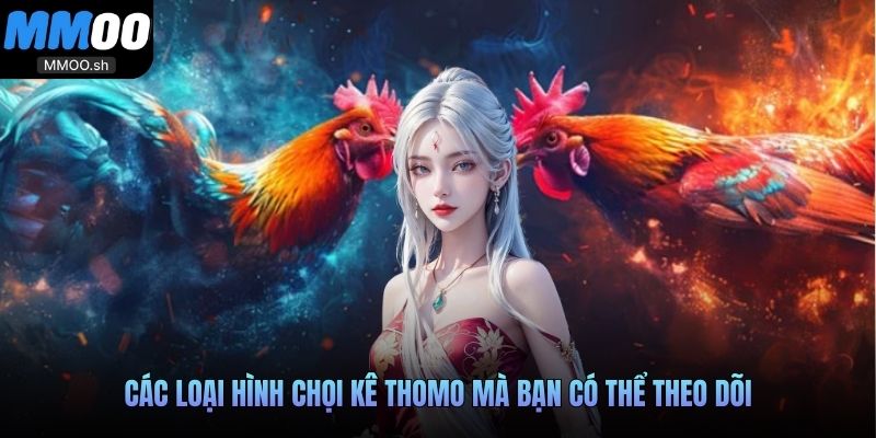 Các loại hình chọi kê Thomo mà bạn có thể theo dõi