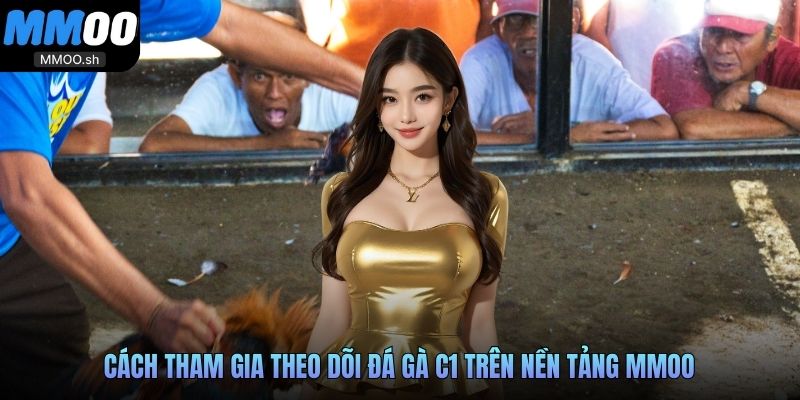Cách tham gia theo dõi đá gà C1 trên nền tảng MMOO