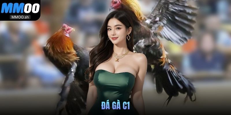 đá gà C1