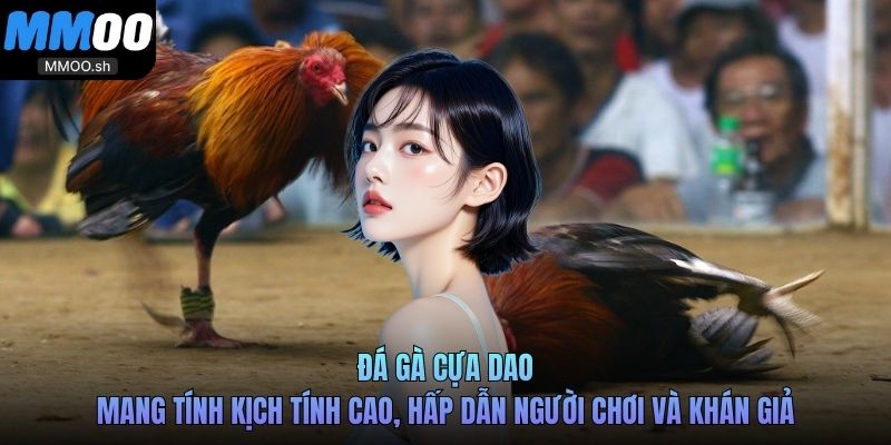 Đá gà cựa dao mang tính kịch tính cao, hấp dẫn người chơi và khán giả