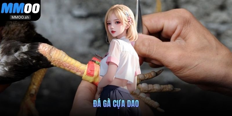 Đá Gà Cựa Dao