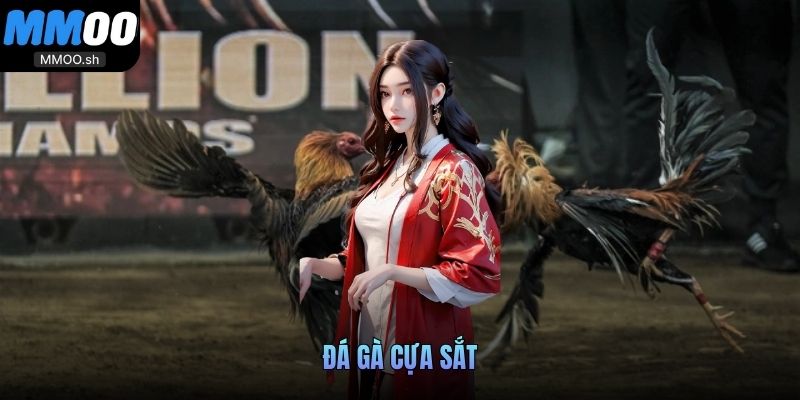 Đá gà cựa sắt