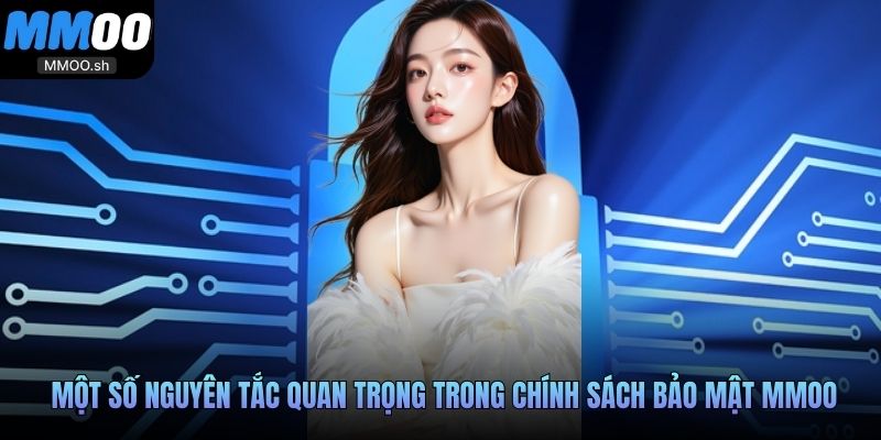 Một số nguyên tắc quan trọng trong chính sách bảo mật MMOO