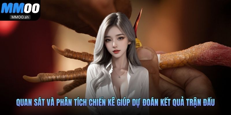 Quan sát và phân tích chiến kê giúp dự đoán kết quả trận đấu