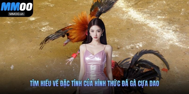 Tìm hiểu về đặc tính của hình thức đá gà cựa dao