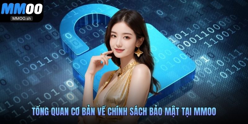 Tổng quan cơ bản về chính sách bảo mật tại MMOO